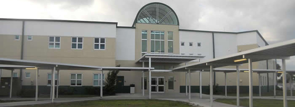Welcome to Dan McCarty School