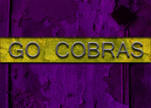 Go_Cobras_Big.jpeg