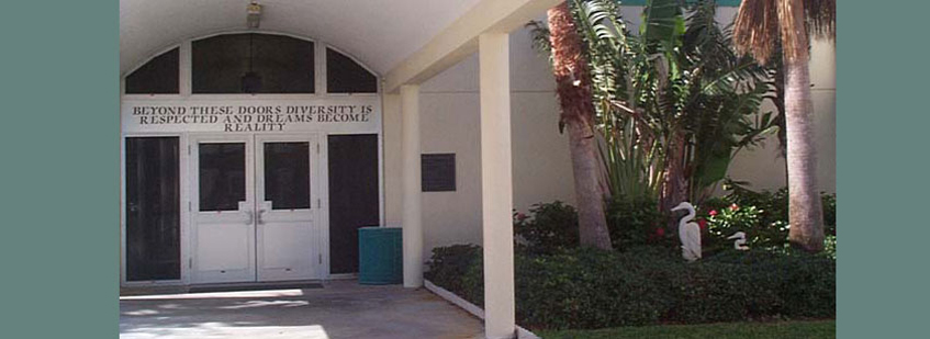 Comprehensive Elementary Curriculum