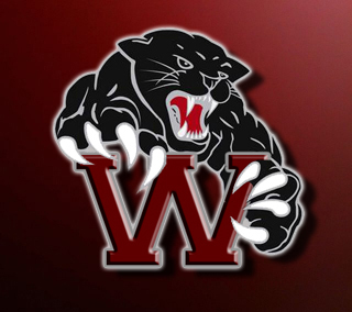 wp_logo