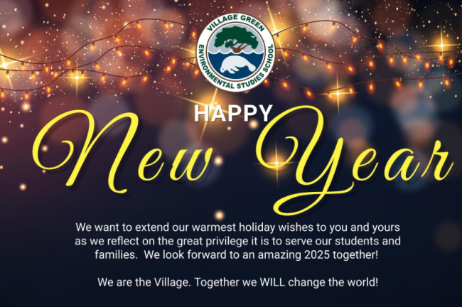 Screenshot 2025-01-03 110021